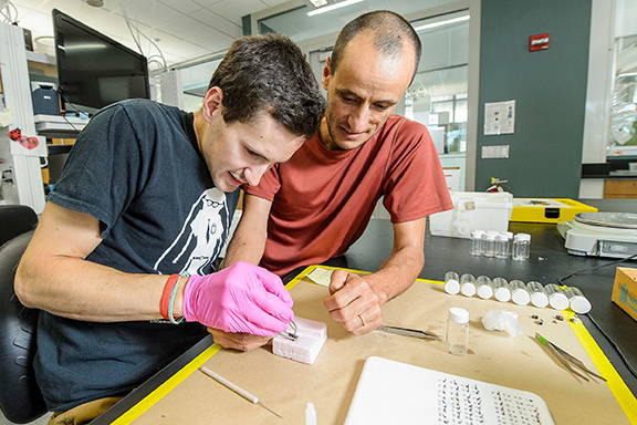 Faculty member and student conducting bee research in a lab