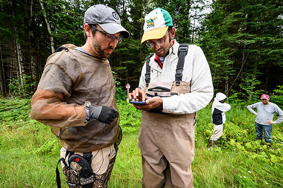 Two researchers in the field analyzing data