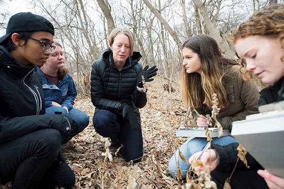 A professor and students crouching close together in a wooded area discussing their work