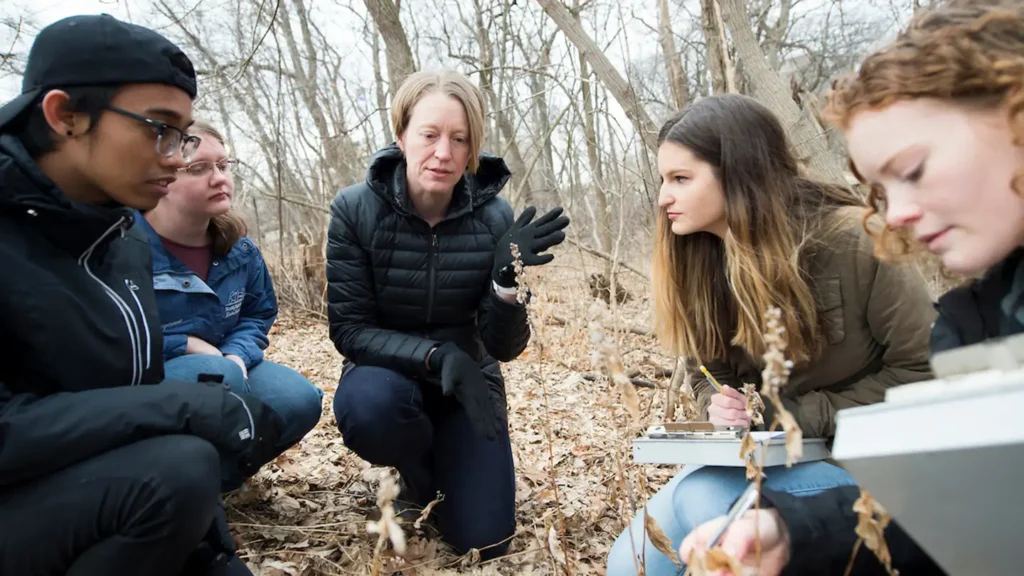 Ellen Damschen meeting with students in Muir Woods to discuss independent research.