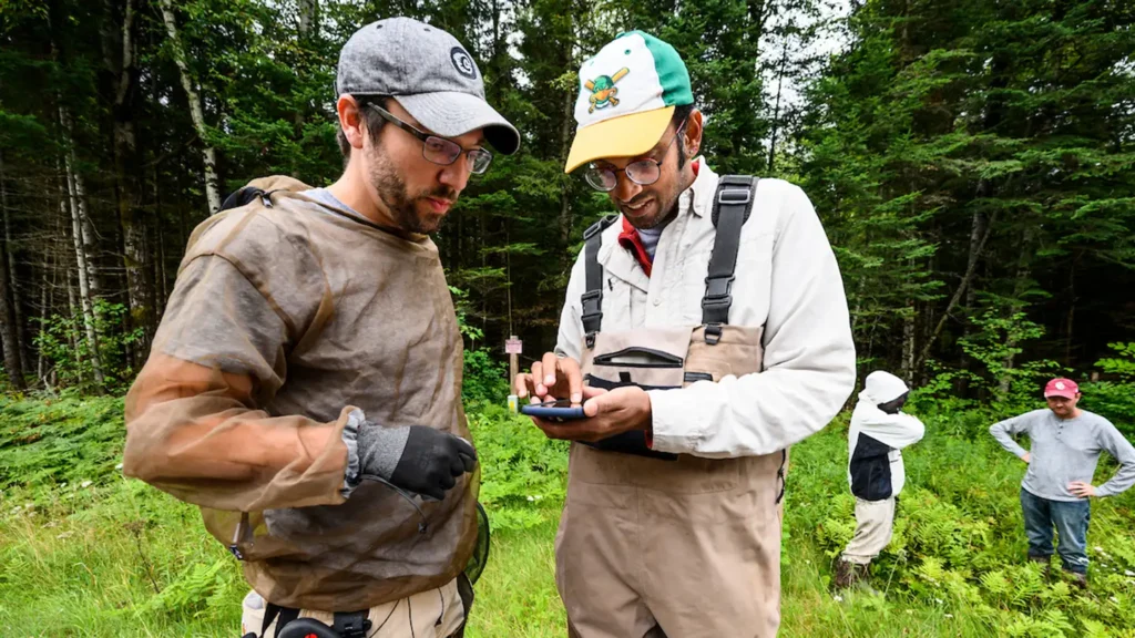 Ankur Desai and an assistant reading research data from a handheld device while working in a forest.
